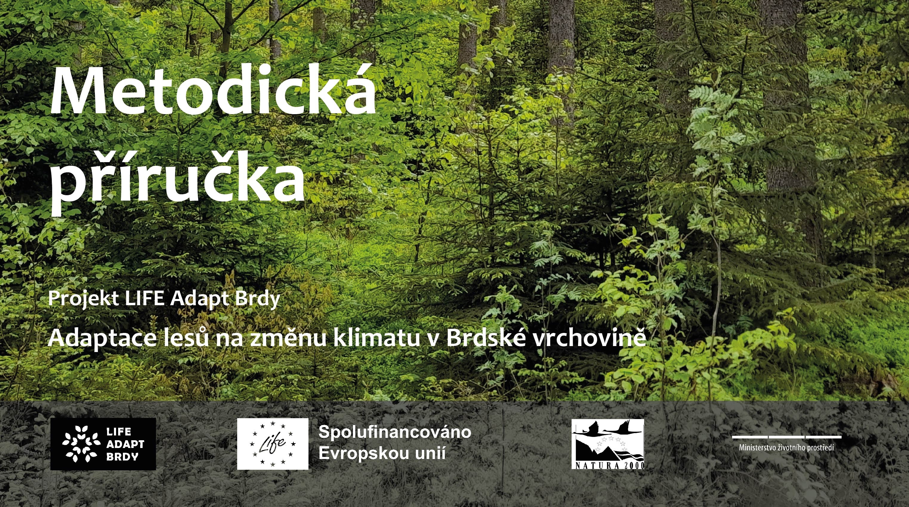 Metodická příručka ke stažení